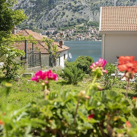 Muo Sea Front Apartments Kotor Exterior photo