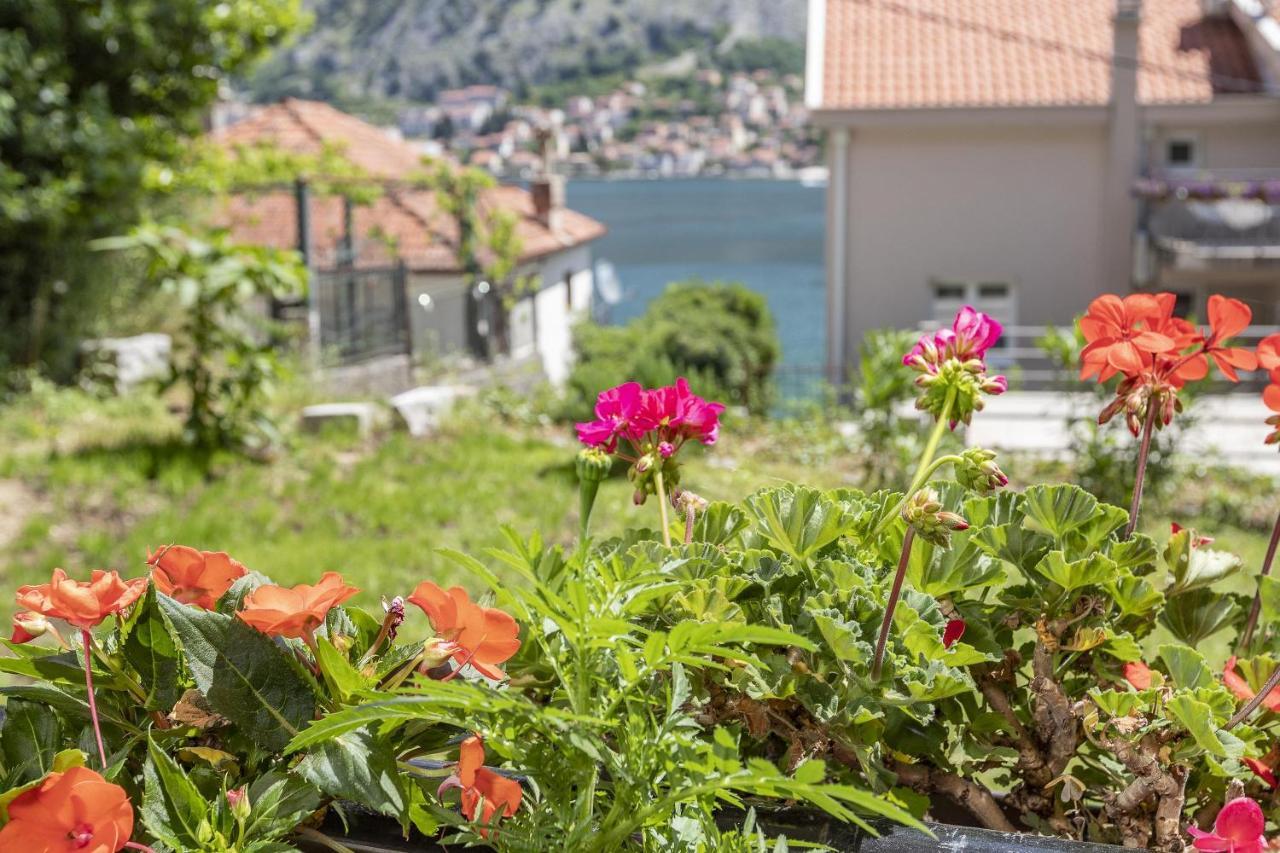 Muo Sea Front Apartments Kotor Exterior photo